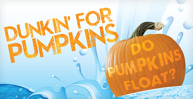 Register for the Annual Dunkin' for Pumpkins Event!